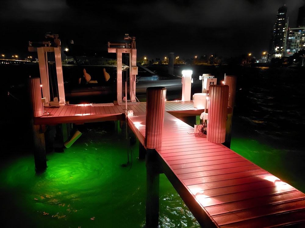 Dock with red pink edge lighting and green underwater glow — Miami skyline at night